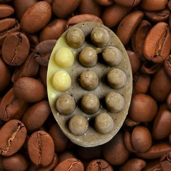 WhatsApp Image 2026-02-18 at 15.13.27